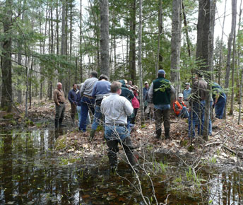 Vernal pool workshop, Hatch Hill Tree Farm, Augusta